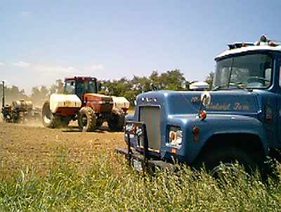 trucks