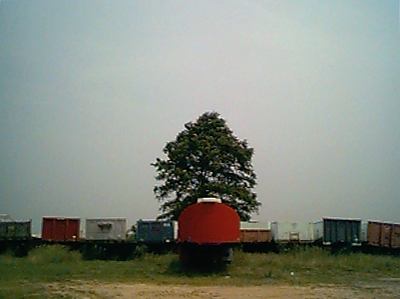 trucks